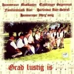 Bild von CD-371, Grad lustig is, Hammerauer Musikanten, Elstätzinger Geigenmusi u.a.