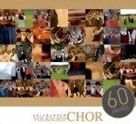 Bild von CD-787, "60 Jahre Salzburger Volksliedchor" u.a. Musikgruppen